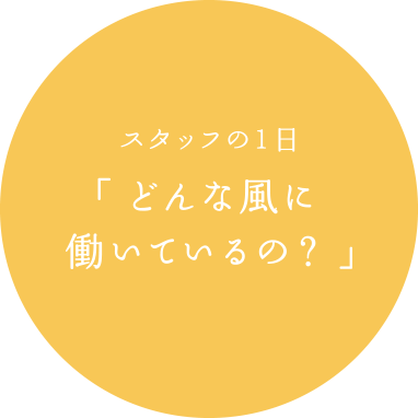 スタッフの1日